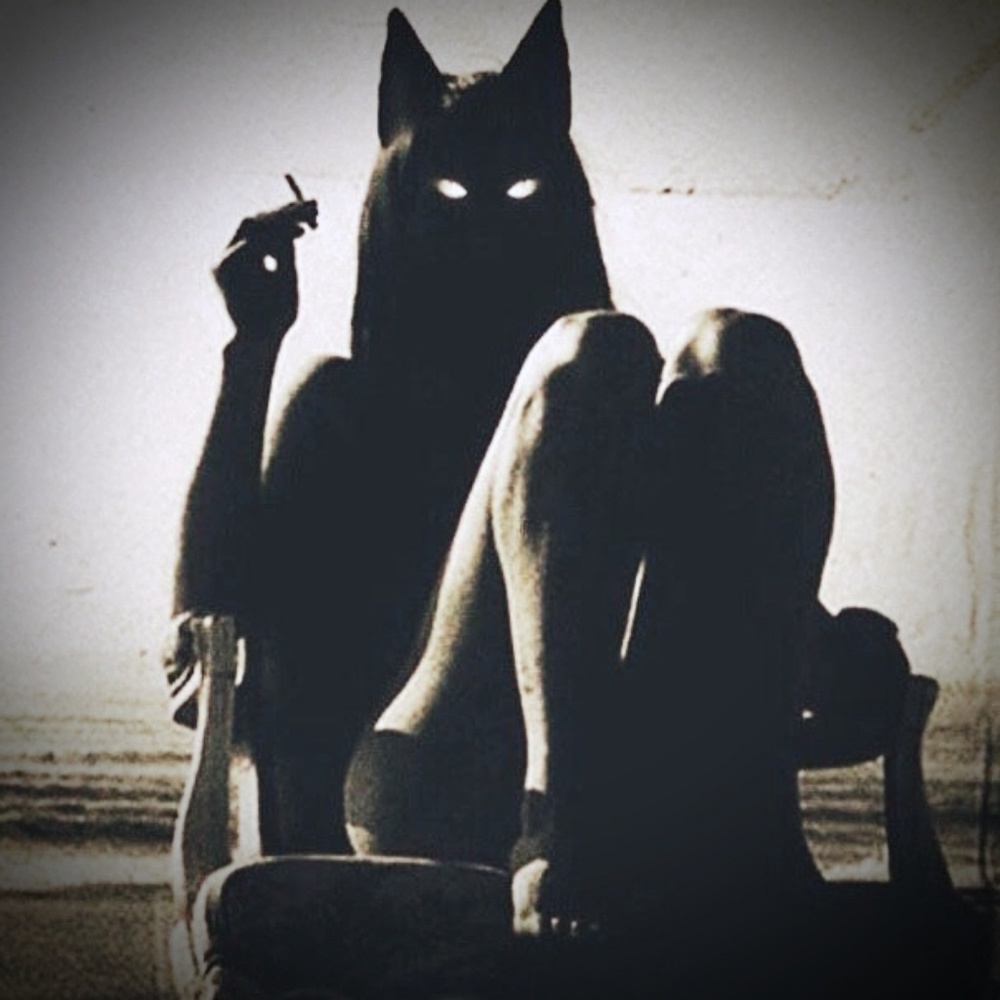 Morgana! - Picture 1 of 1